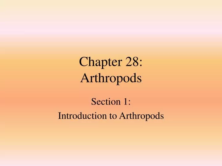 chapter 28 arthropods