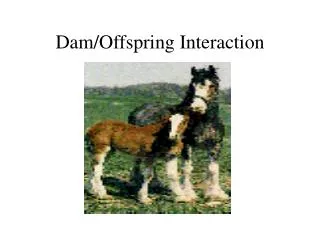 Dam/Offspring Interaction