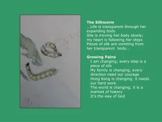 The Silkworm ...Life is transparent through her expanding body