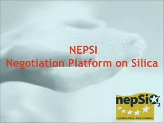 NEPSI Negotiation Platform on Silica