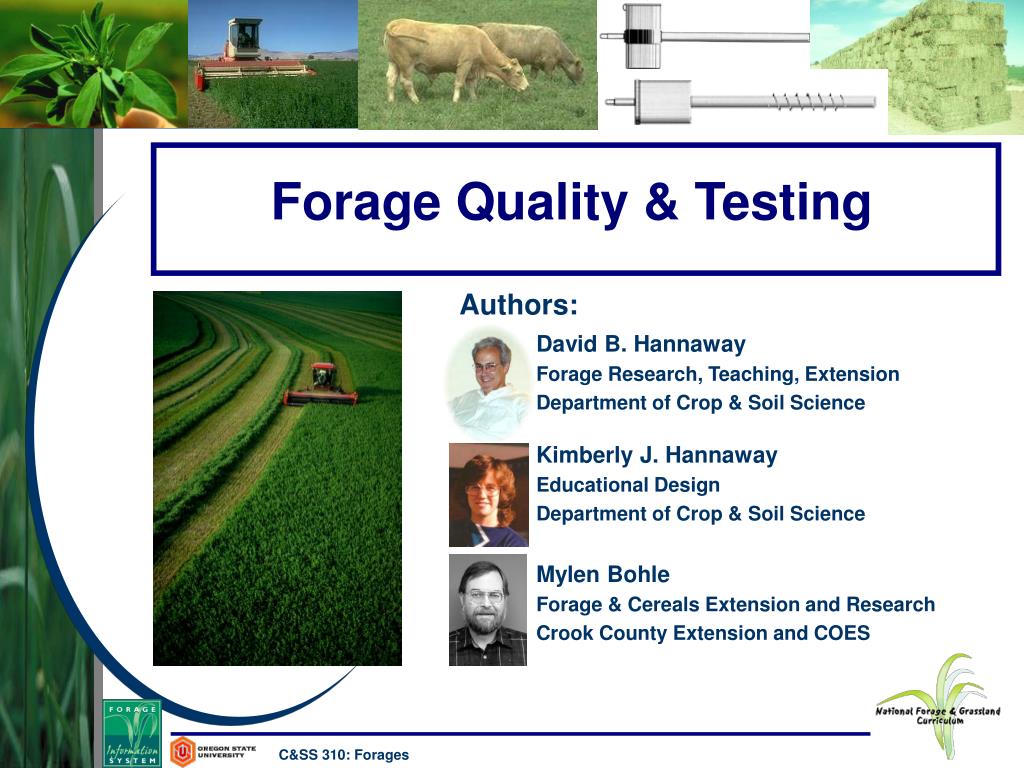 PPT - Forage Quality & Testing PowerPoint Presentation, free download ...