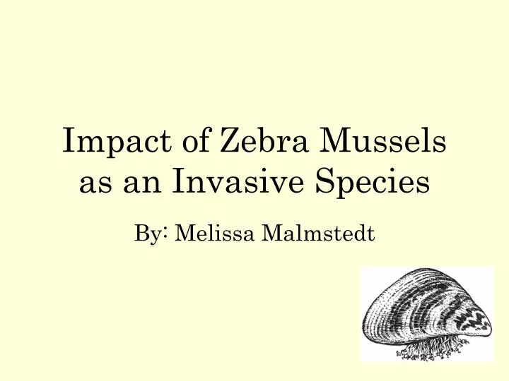 impact of zebra mussels as an invasive species