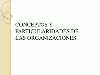 conceptos y particularidades de las organizaciones