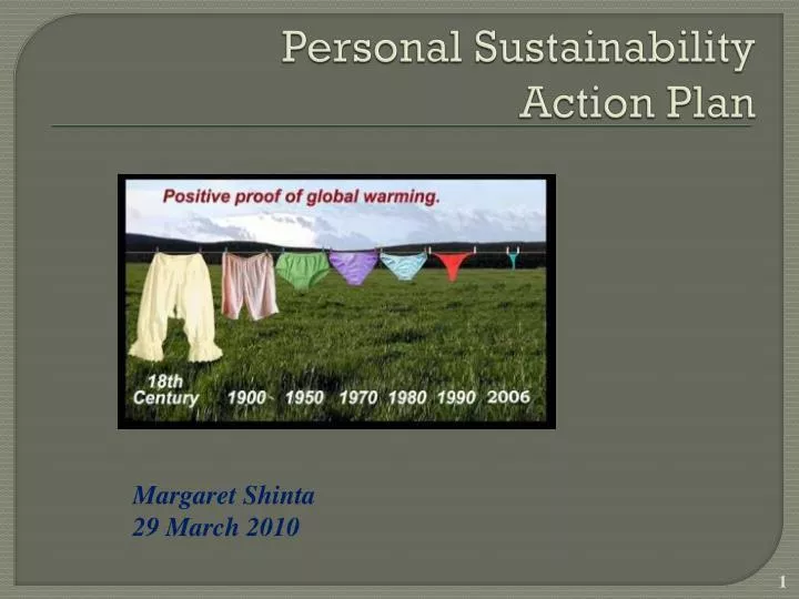 personal sustainability action plan