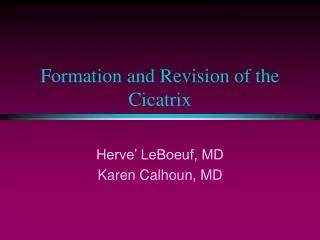 Formation and Revision of the Cicatrix