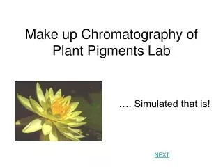 Make up Chromatography of Plant Pigments Lab