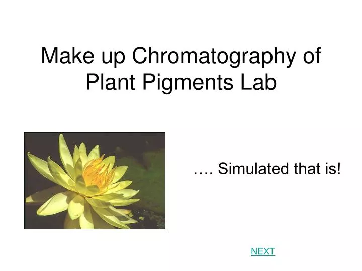 make up chromatography of plant pigments lab