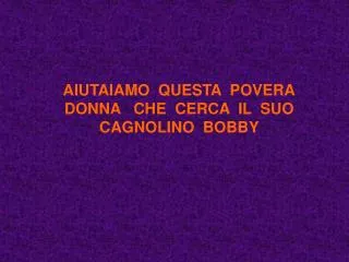 AIUTAIAMO QUESTA POVERA DONNA CHE CERCA IL SUO CAGNOLINO BOBBY