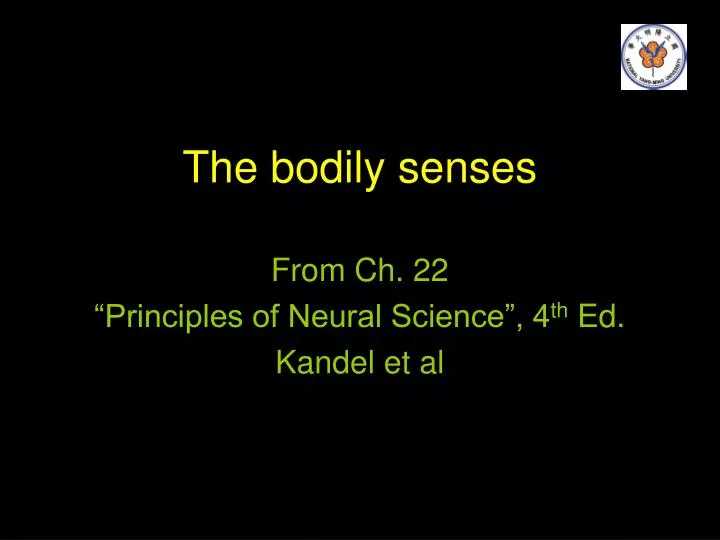 the bodily senses