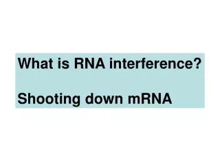What is RNA interference? Shooting down mRNA