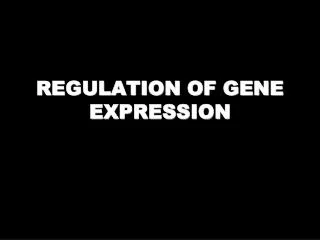REGULATION OF GENE EXPRESSION