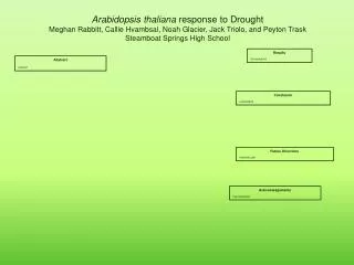 Arabidopsis thaliana response to Drought
