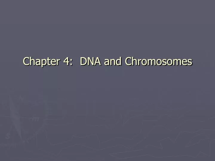 chapter 4 dna and chromosomes