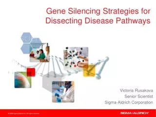 Gene Silencing Strategies for Dissecting Disease Pathways