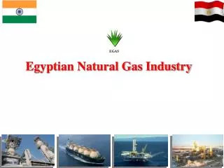Egyptian Natural Gas Industry