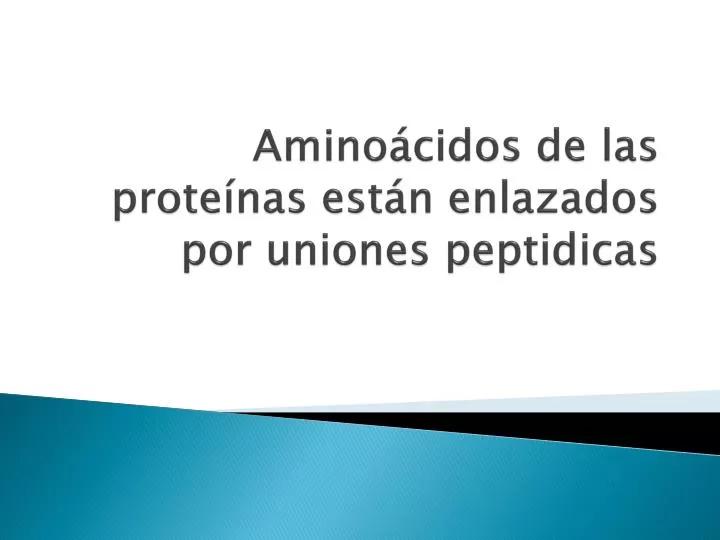 amino cidos de las prote nas est n enlazados por uniones peptidicas