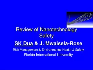 Review of Nanotechnology Safety