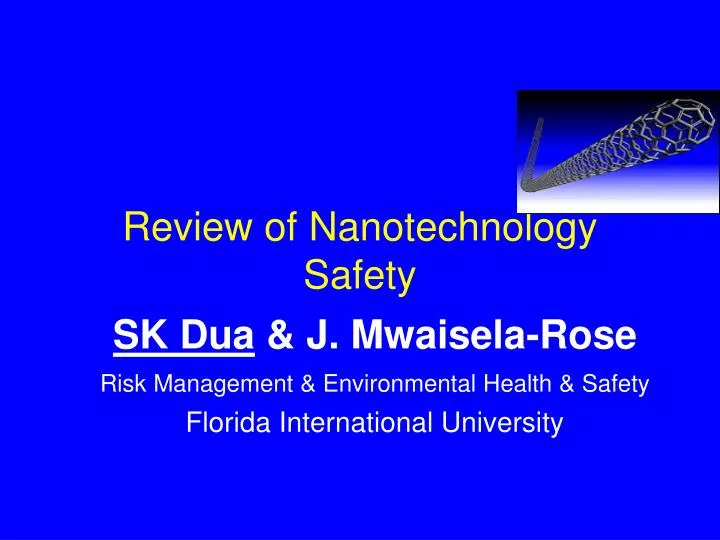 review of nanotechnology safety