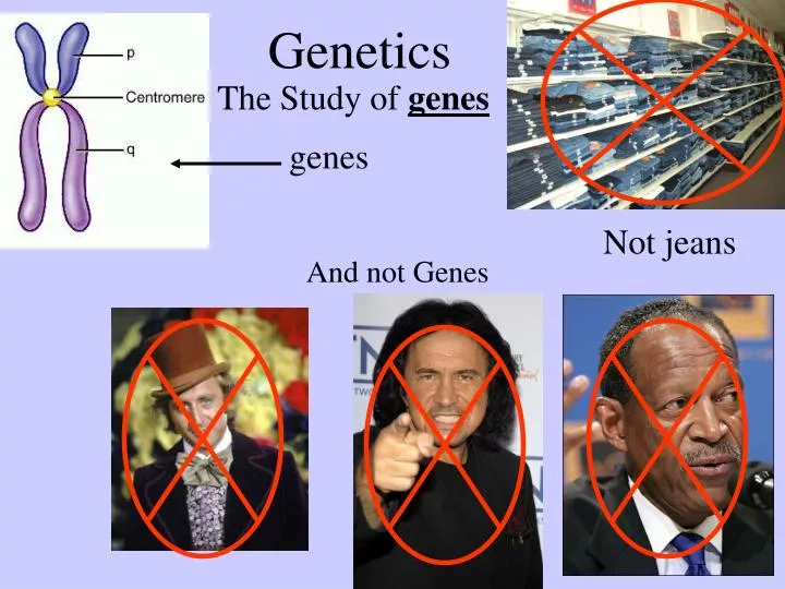 genetics