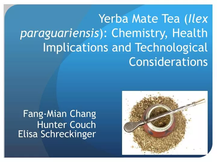 yerba mate tea ilex paraguariensis chemistry health implications and technological considerations