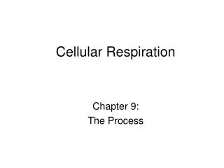 Cellular Respiration