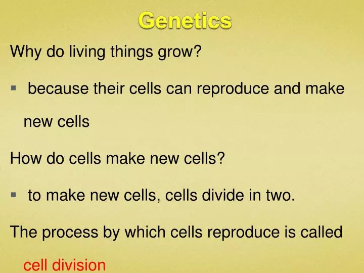 genetics