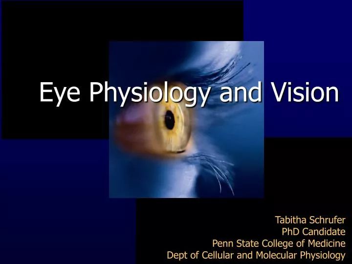 eye physiology and vision