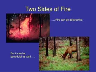 Two Sides of Fire