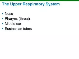 The Upper Respiratory System