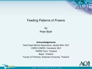 Feeding Patterns of Prawns by Peter Blyth Acknowledgements