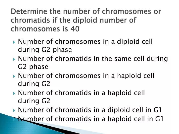 determine the number of chromosomes or chromatids if the diploid number of chromosomes is 40