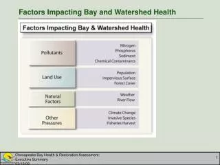 Factors Impacting Bay and Watershed Health