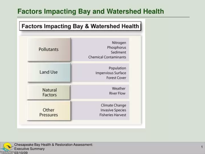 factors impacting bay and watershed health