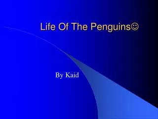 Life Of The Penguins ?