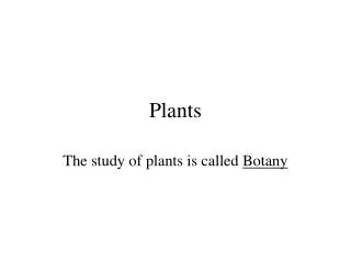 Plants