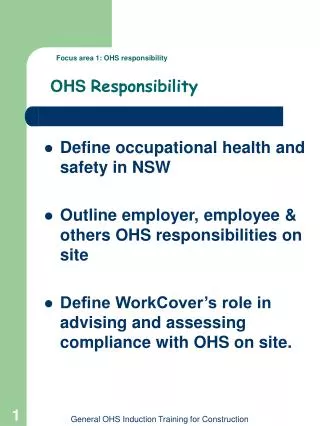 Focus area 1: OHS responsibility OHS Responsibility