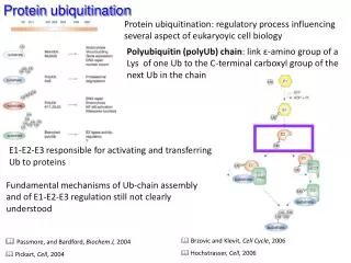 Protein ubiquitination