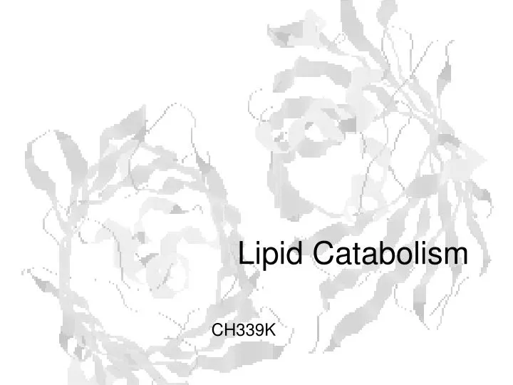 lipid catabolism