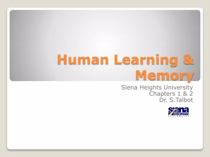 human learning memory