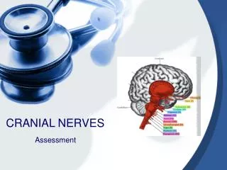 CRANIAL NERVES