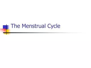 The Menstrual Cycle