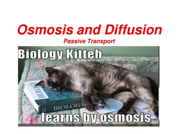osmosis and diffusion passive transport