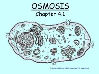 OSMOSIS Chapter 4.1