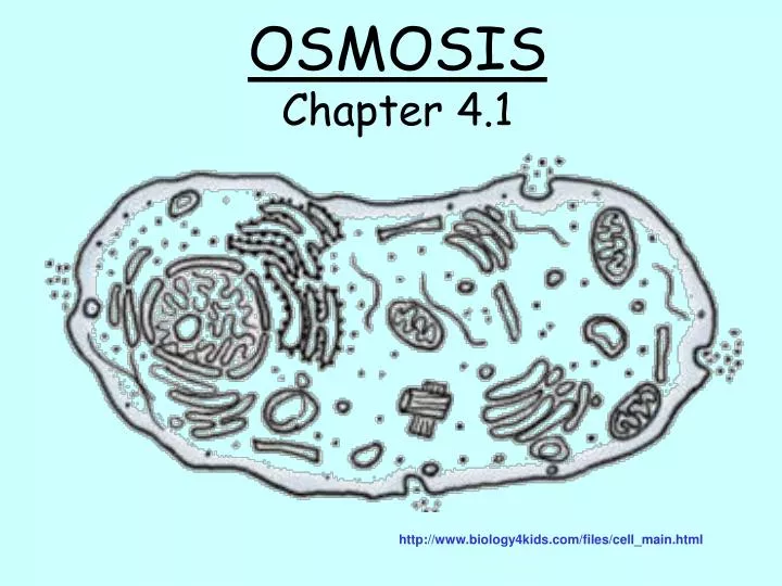 osmosis chapter 4 1