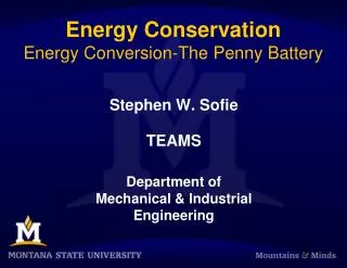 Energy Conservation Energy Conversion-The Penny Battery