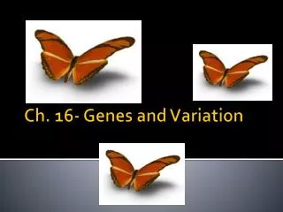 Ch. 16- Genes and Variation