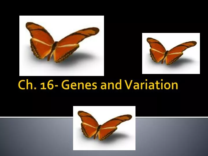 ch 16 genes and variation