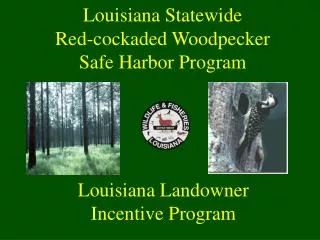 Louisiana Statewide Red-cockaded Woodpecker Safe Harbor Program