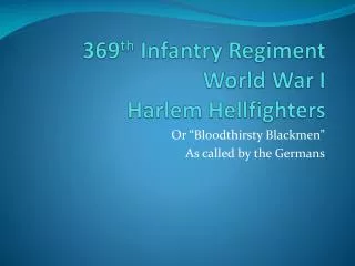 369 th Infantry Regiment World War I Harlem Hellfighters