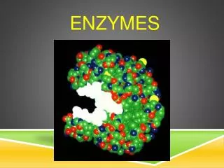 ENZYMES